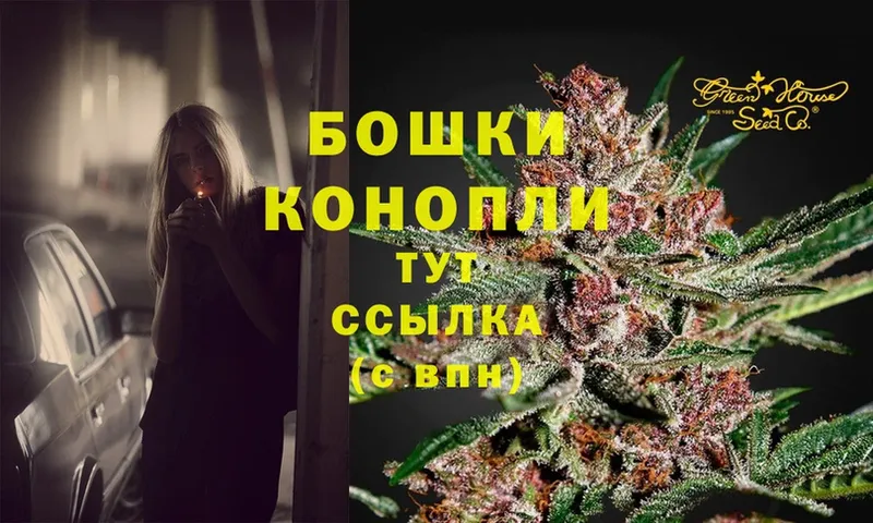 продажа наркотиков  Волгоград  Бошки марихуана Amnesia 